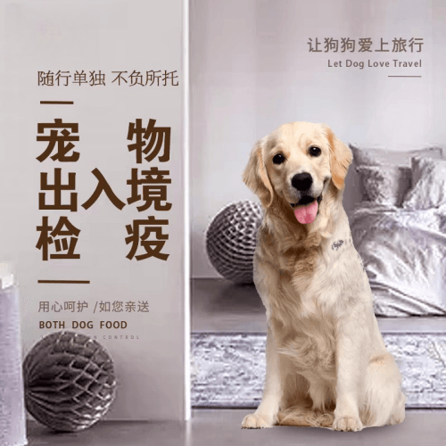 济南宠物托运到哥伦比亚猫狗宠物入境规定和