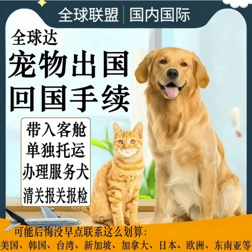 济南宠物托运到柬埔寨宠物入境规定和要求